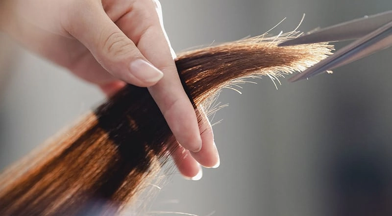 アイビーの強み