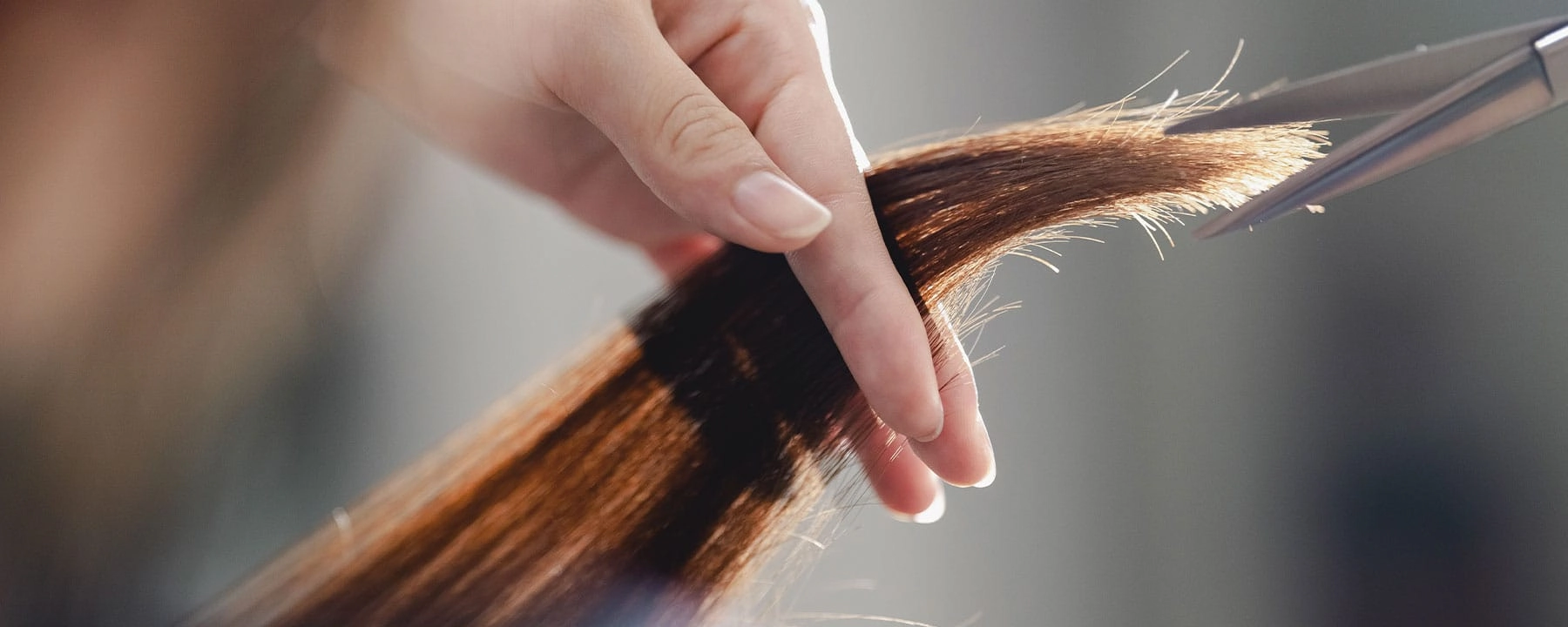 アイビーの強み